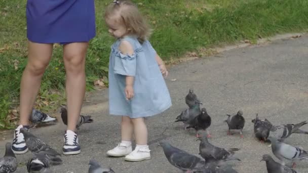 Dcera Matka Krmit Hejna Holubů Děťátko Bavit Zpomalený Pohyb Šťastný — Stock video