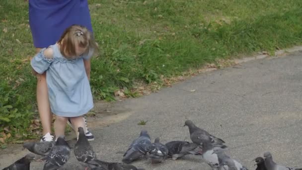 Fille Mère Nourrissent Troupeau Pigeons Amuse Toi Bien Ralenti Concept — Video