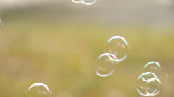 Burbujas Jabón Luz Del Atardecer Familia Feliz Soplando Burbujas Jabón — Vídeo de stock