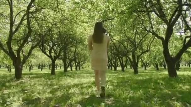 Cat Está Abraçando Mulher Atraente Livre Fundo Verão Mulher Feliz — Vídeo de Stock