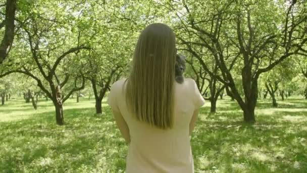 Kadın Bir Kediyi Okşuyor Yeşil Ağaçların Arasında Yürüyor Yavaş Çekimde — Stok video