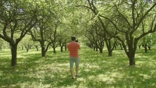 Homem Atordoando Gato Caminha Através Árvores Verdes Beco Visão Traseira — Vídeo de Stock