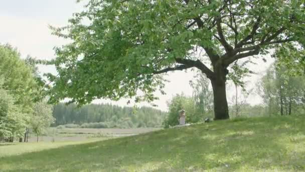 Malá Holčička Trávě Pod Osamělým Stromem Parku Jídlo Dětské Emoce — Stock video