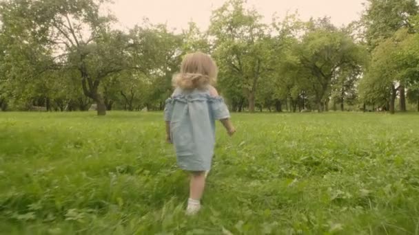 Baby Girl Spacery Zielonym Ogrodzie Słońcu Thrue Jabłoni Fotografowanie Tyłu — Wideo stockowe