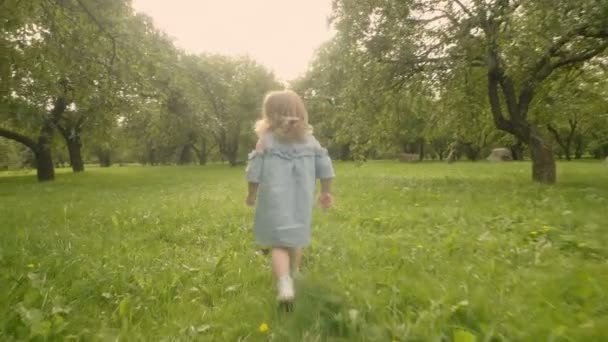 Baby Girl Walks Green Garden Sunlight Thrue Apple Trees Shooting — Stock Video