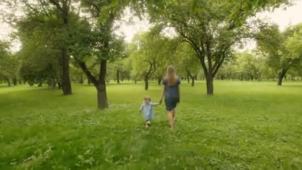 婴儿与妈妈走在绿色花园在阳光下通过苹果树 从背面拍摄 — 图库视频影像