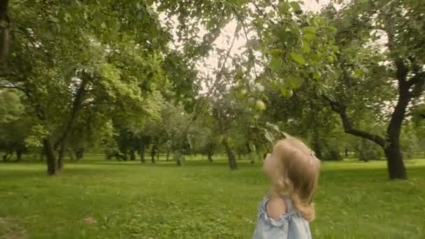 女の赤ちゃんは日光の下でリンゴを引き裂く スローモーション おめでとう赤ちゃんの感情 — ストック動画