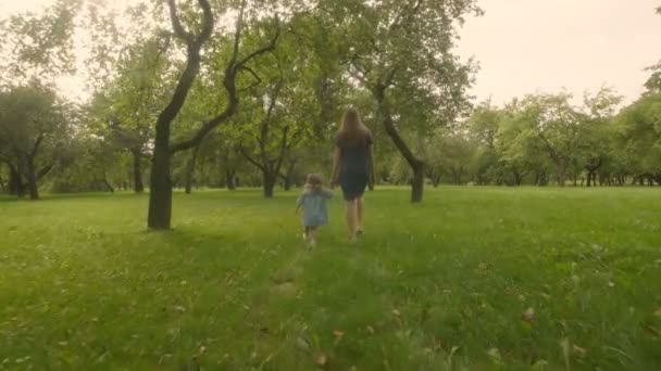 Mädchen Mit Mama Spaziert Grünen Garten Sonnenlicht Durch Apfelbäume Schuss — Stockvideo