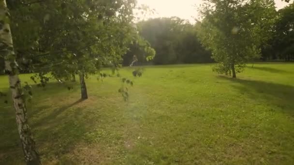 공원에서 잔디를 어머니와 아기는 재미있다 주위를 회전하는 어머니와 소녀의 슬로우 — 비디오