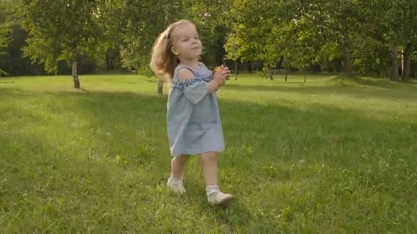 女婴在草地上奔跑 在夕阳的阳光下 冲进花园里的母亲手中 慢动作 快乐微笑的女婴 — 图库视频影像