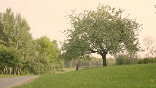Dziewczynka Mamą Siedzi Pod Pięknym Samotnym Wielkim Drzewem Zachodzie Słońca — Wideo stockowe