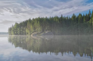 Puslu su yüzeyi ve orman yansıması, yumuşak renkler ve sakin atmosferle gölde puslu bir sabah rüya gibi bir doğal resim oluşturur..