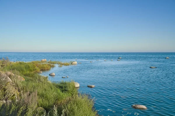 Mavi suyu, yeşil bitki örtüsü ve geniş gökyüzü olan sakin bir sahil şeridi. Işıklı, geniş ve deniz atmosferli huzurlu bir doğa anı..