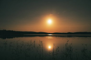 Sazlıklar ve orman siluetleriyle çerçevelenmiş sakin bir gölün üzerinde altın bir gündoğumu. Sudaki hafif yansımalar huzurlu, resimsel bir atmosfer yaratır..