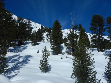 Avusturya Alpleri'nde kış güzel bir skitouring
