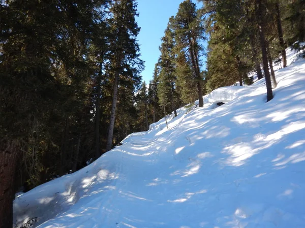 Vacker Skitouring Vinter Alperna Österrike — Stockfoto