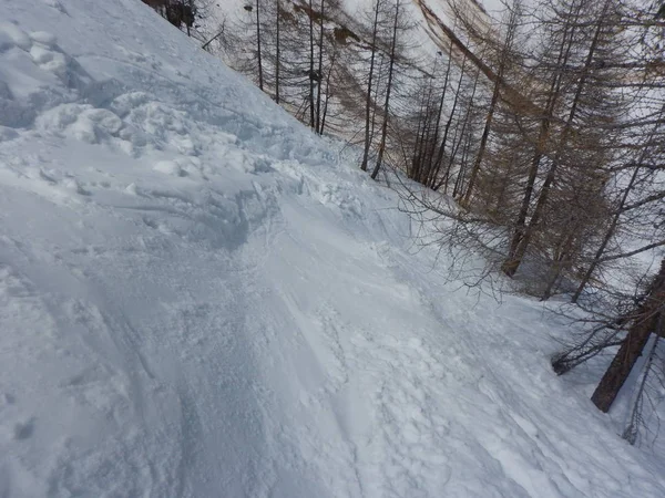 Gyönyörű Skitouring Nap Grossvenediger Ban Alpok Ausztriában — Stock Fotó