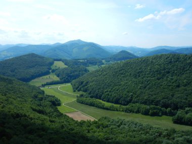 raxalpe içinde alt Avusturya 'da yeşil doğa