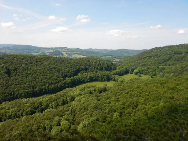 Grüne Natur Niederösterreich Raxalpe — Stockfoto
