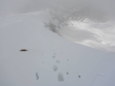 güzel sessiz hala karlı bahar doğa Avusturya Alpleri'nde otztaler