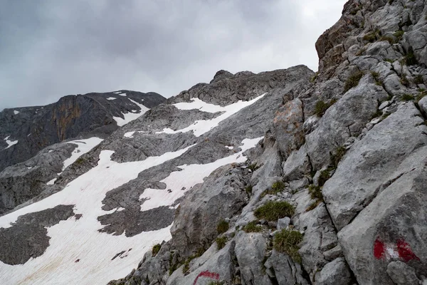 Una Primavera Baeutiful Natura Alpina Montagna Con Rocce — Foto Stock
