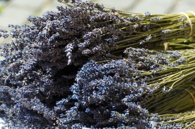 piyasada kurutulmuş Lavanta Mavi bir demet