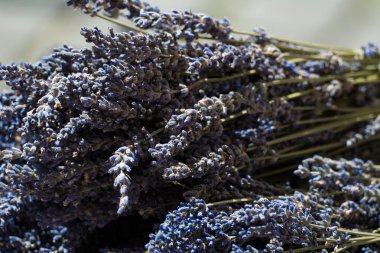 piyasada kurutulmuş Lavanta Mavi bir demet