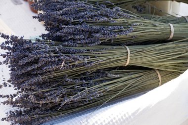 piyasada kurutulmuş Lavanta Mavi bir demet