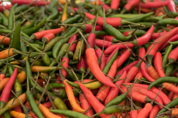 Una Gran Variedad Chiles Coloridos Frescos — Foto de Stock