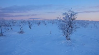 güzel kış manzara lappland finnland içinde