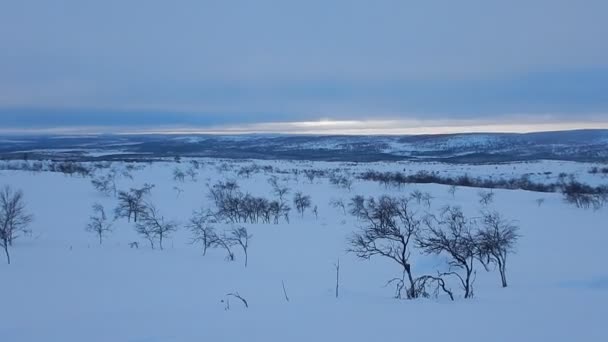 Vackert Vinterlandskap Lappland Finnland — Stockvideo