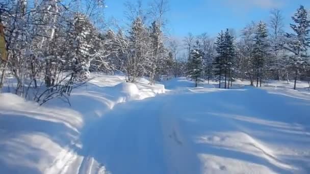 Prachtige Winterlandschap Van Lappland Finnland — Stockvideo