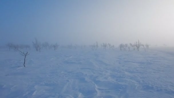 Vackert Vinterlandskap Lappland Finnland — Stockvideo
