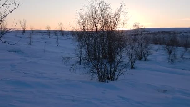 Piękny Zimowy Krajobraz Lappland Finlandii — Wideo stockowe
