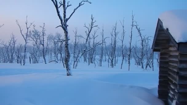 Skidåkning Äventyr Vinter Lappland Med Stugor Och Camping — Stockvideo