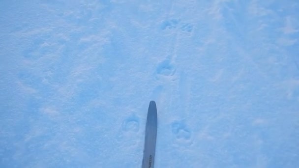 Avontuur Winter Lappland Met Hutten Skiën Kamperen — Stockvideo