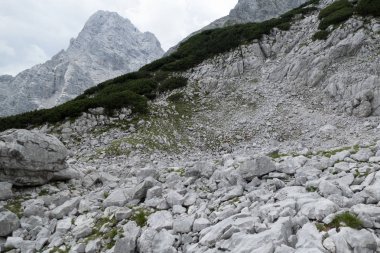 Avusturya Alpleri'nde totes gebirge dağlarda yaz