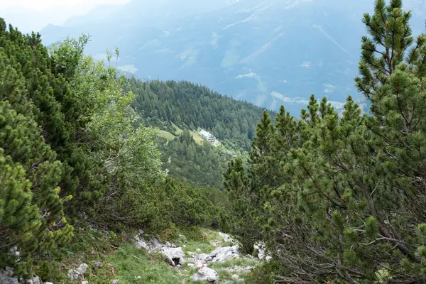 Sommar Totes Gebirge Bergen Alperna Österrike — Stockfoto