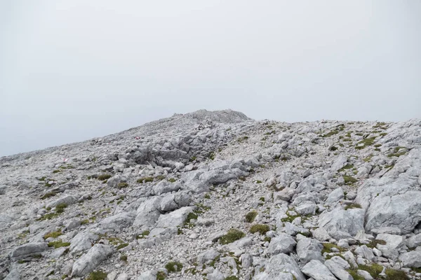 Καλοκαίρι Στα Βουνά Gebirge Totes Στις Άλπεις Στην Αυστρία — Φωτογραφία Αρχείου