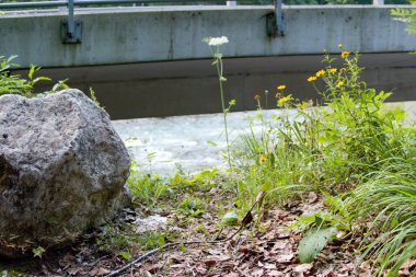 bir çim ve bir taş beton köprü altında