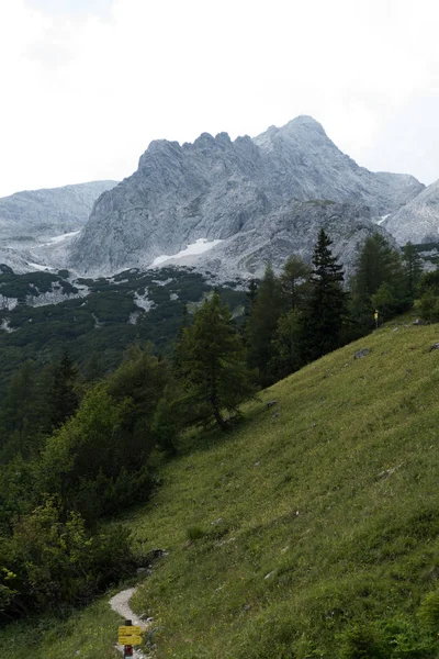 Été Dans Les Montagnes Gebirge Fourre Tout Dans Les Alpes — Photo