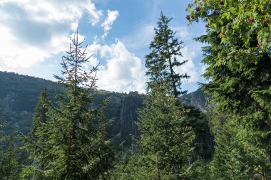 güzel yaz peyzaj Krkonose Dev Dağları Çekya'nda
