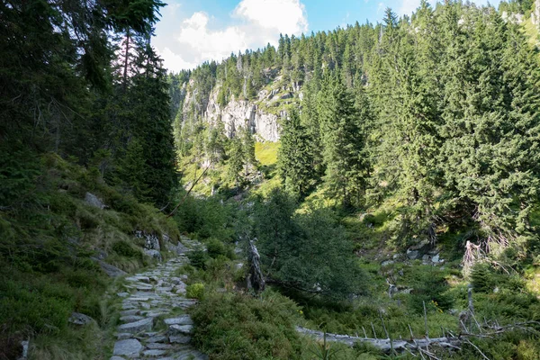 Ένα Όμορφο Καλοκαιρινό Τοπίο Στο Krkonose Γιγαντιαία Βουνά Στην Τσεχία — Φωτογραφία Αρχείου