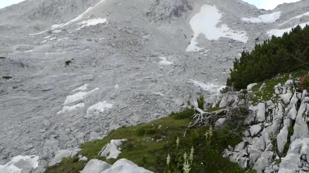 Bergsport Bij Grosser Priel Totes Gebirge — Stockvideo