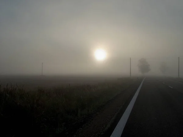 Τσεχική Εξοχή Δρόμος Μια Ομίχλη Πρωί — Φωτογραφία Αρχείου