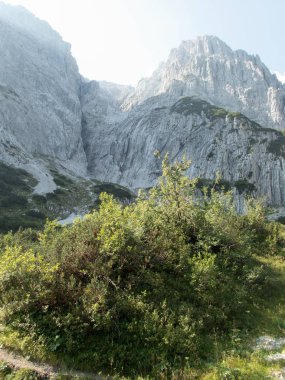 güzel yürüyüş ve Avusturya'da wilder kaiser içinde tırmanma