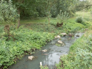 küçük bir dere divoka sarka parkında Çek Cumhuriyeti Prag