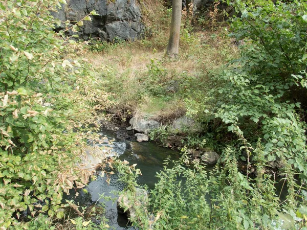 küçük bir dere divoka sarka parkında Çek Cumhuriyeti Prag