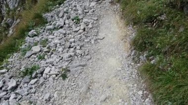 Avusturya'da wilder kaiser güzel Panoraması