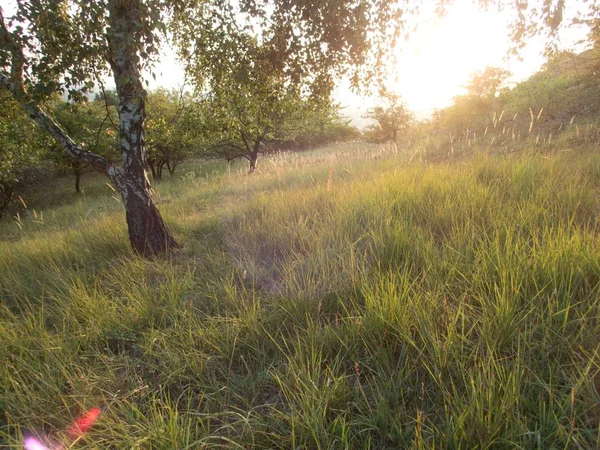 Hermoso Amanecer Parque Temporada Otoño — Foto de Stock